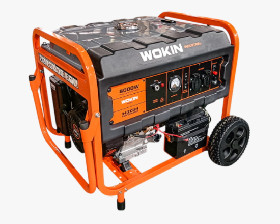 791280 Wokin Գեներատոր 230V, 8000W PRO - ի նկար